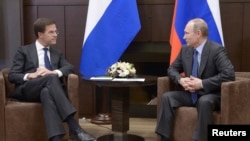 Russia's President Vladimir Putin (R) meets with Dutch Prime Minister Mark Rutte in Sochi, Feb. 7, 2014. 