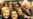 Tren Foto 'Selfie' Makin Meluas