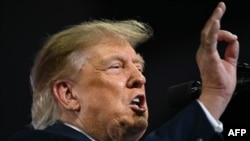 Президент США Дональд Трамп выступает на предвыборном митинге (архивное фото).