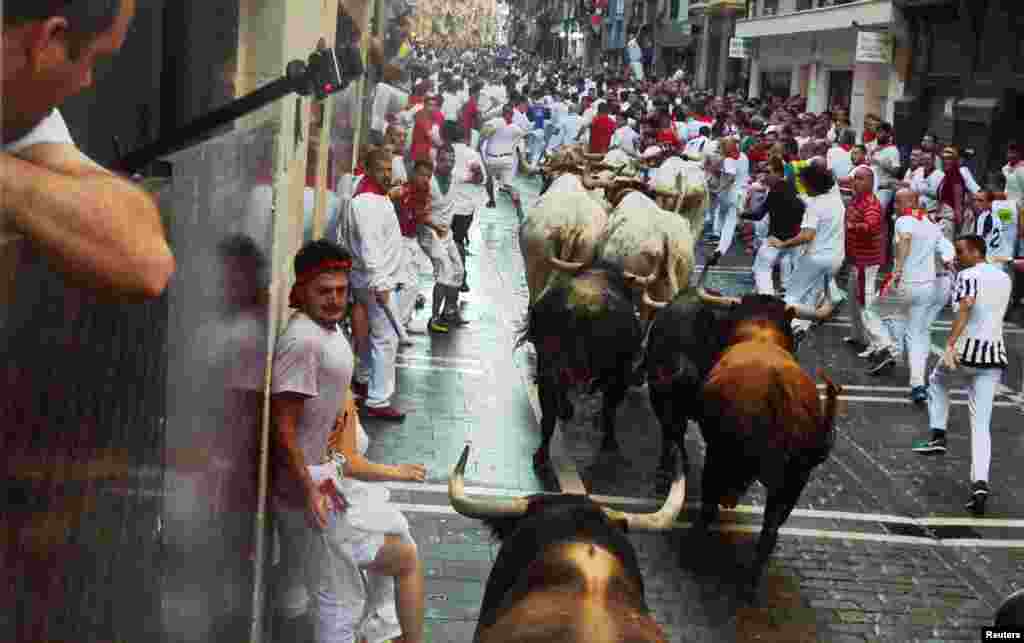 San Fermin festivalının ilk günündə iştirakçılar öküzlərin qarşısında qaçırlar. Pamplona, İspaniya. 7 iyul, 2016.