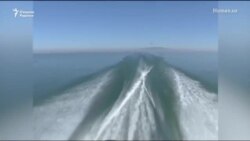 AQSh-O'zbekiston qo'shma korxonasi "O'zbaliqsanoat"ni sudga berdi