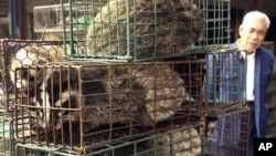 FILE - A man looks at caged civet cats in a wildlife market in Guangzhou, capital of south China's Guangdong Province, China, Jan. 5, 2004.