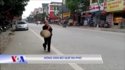 Nông dân bỏ quê ra phố 