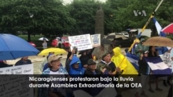 Nicaragüenses protestaron frente a la OEA