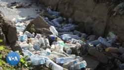 Des scientifiques kenyans étudient un ver capable de biodégrader le plastique