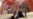 中国严控资本外流 王健林再闯好莱坞受阻