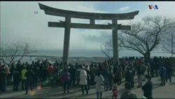 اخبار شامگاهی