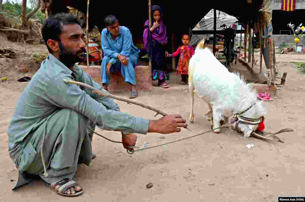 گزرے وقتوں میں دیہی علاقوں میں لگنے والے میلے ان کی آمدن کے لئے بڑے اچھے ثابت ہوتے تھے۔