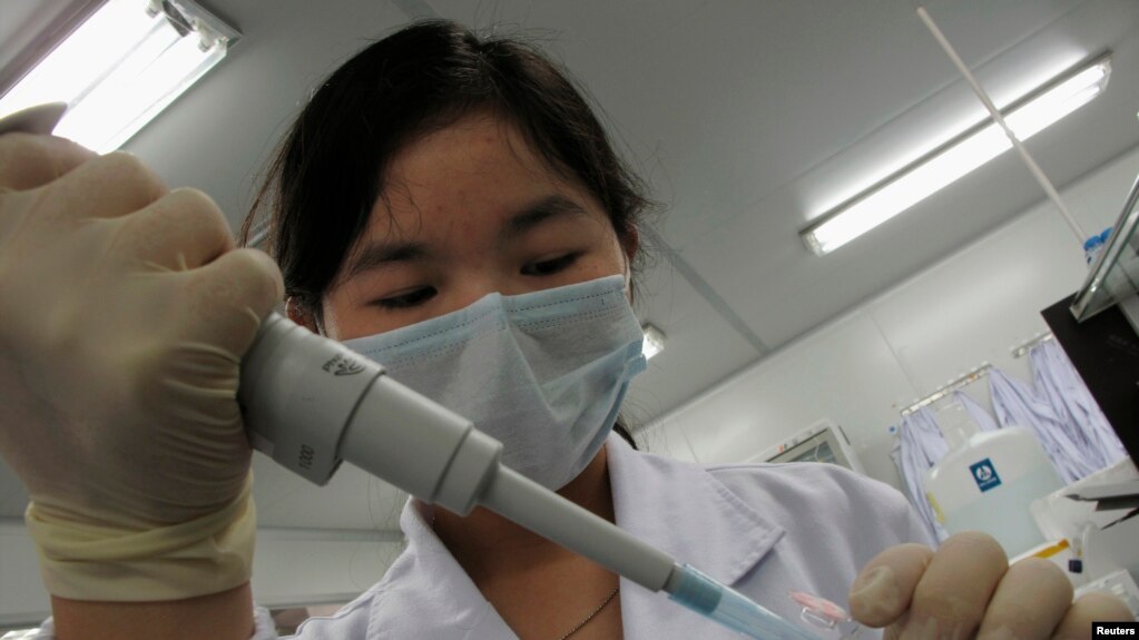 资料照片:一名研究人员在位于中国深圳的北京基因组研究所“DNA实验室”将样本放入容器中。(2010年3月3日)