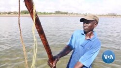 Traditional Fisherman, Fish Shops Struggle on Kenyan Coast