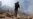 Extremist Groups Eye Yemen Conflict With Renewed Opportunities