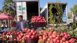 فێستڤاڵی هەنار پێکهاتەکانی کەرکوک کۆدەکاتەوە