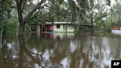 Poplavljene kuće pored reke Alafia na Floridi, 11. oktobar 2024. (AP Photo/Chris O'Meara)