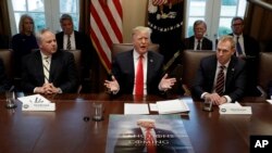 Presiden Donald Trump, dengan poster bergambar dirinya digelar di depannya, berbicara dalam sebuah rapat kabinet di Gedung Putih, Rabu, 2 Januari 2019, Washington, D.C. (foto: AP Photo/Evan Vucci)