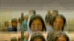 لویه پښتونخوا خپرونه په ټي وي