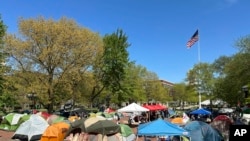 Tenda të protestuesve pro-palestinezë në Universitetin e Miçiganit, 2 maj, 2024.