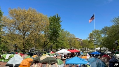 Tenda të protestuesve pro-palestinezë në Universitetin e Miçiganit, 2 maj, 2024.