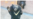 ‘재주는 곰이 부리고 돈은 되놈이 번다’ 증거자료(?) 대공개

