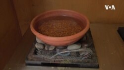 India Ancient Civilization Food USAGM