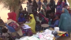 Besoins sanitaires à la frontière entre le Niger et le Mali (vidéo)