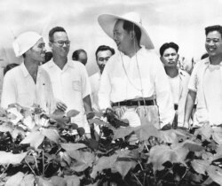 FILE - In this July 19, 1962, photo, smiling Mao Zedong, chairman of the Chinese Communist Party, chats with villagers in an agricultural co-op during an inspection tour in Henan Province, China.