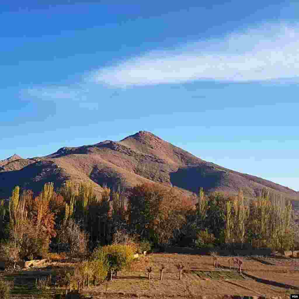 فصل پائیز در نطنز عکس: کوروش (ارسالی شما)
