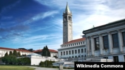 '캘리포니아 주립 버클리대학교(University of California Berkeley)' 중심부에 위치하고 있는 새더 타워. 