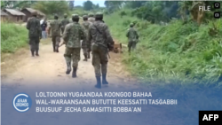 Loltoonni Yugaandaa Koongoo Bahaa Wal-waraansaan Bututte Keessatti Tasgabbii Buusuuf Jecha Gamasitti Bobba'an