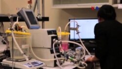 Filtro de Grafeno para purificar el agua