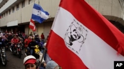 En la foto de archivo adeptos del partido político Liberal portan una bandera de esa institución política.