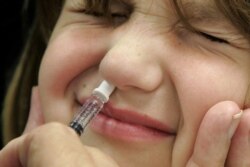 واکسن آنفولانزا از طریق بینی به کودکان داده می‌شود و دانشمندان امیدوارند واکسن کرونا نیز بتواند به همین شکل در دسترس قرار بگیرد