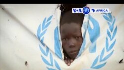 Manchetes Africanas 20 Dezembro 2018: Adiadas eleiçōes presidenciais no Congo Democrático