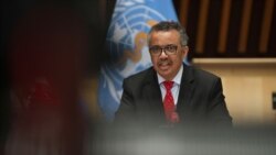 WHO Director-General Tedros Adhanom Ghebreyesus attends the 147th session of the WHO Executive Board held virtually by videoconference, amid the COVID-19 pandemic, May 22, 2020, in this image provided by the World Health Organization in Geneva.