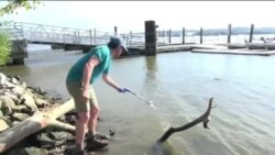 Плавучая лаборатория на реке Потомак