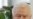 Lech Walesa Offers to PIck Up Nobel Prize for Jailed Chinese Dissident