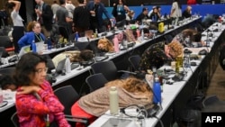 Delegates attend the last plenary session of the COP16 Summit in Cali, Colombia, on Nov. 1, 2024. 