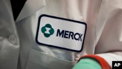 FILE - In this Feb. 28, 2013 file photo, a Merck logo is placed on scientist's lab coat in West Point, Pa. 