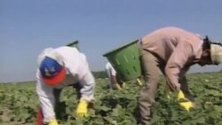 Փախստականության հարցը` Կոնգրեսում