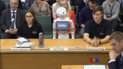 ဗြိတိသျှလွှတ်တော်တက် စက်ရုပ်၊ ရွှေဖရုံသီး လှေပြိုင်ပွဲ