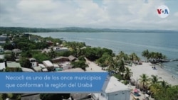 Video: Migrantes se preparan para atravesar la selva más peligrosa de América Latina