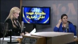 Kurdish Radio on TV