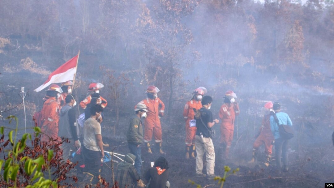 Seluruh pihak bekerja sama memadamkan kebakaran hutan dan lahan di Kalimantan Tengah. (Foto courtesy: SOB))
