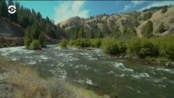 Настоящее Время. Америка – 5 апреля 2019