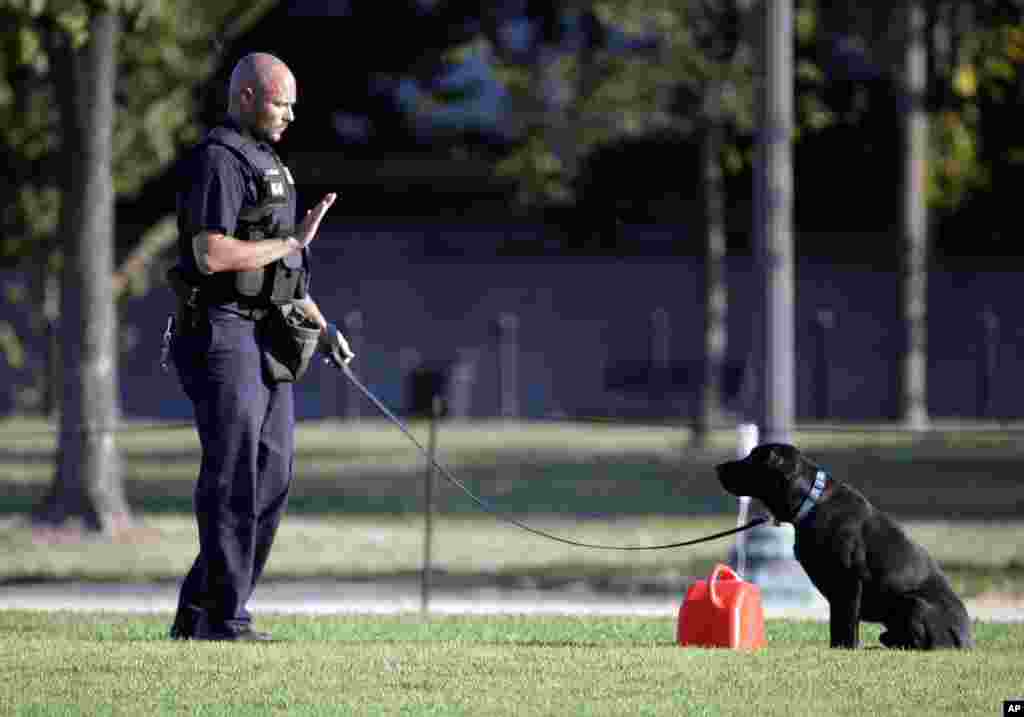 Kapitoliy qarshisida bir odam o'ziga o't qo'ygan.