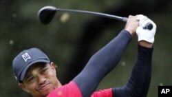 Grass flies as Tiger Woods tees off, December 5, 2010.