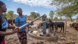 Warga desa sedang memompa air dari sumur bor di Mudzi, Zimbabwe, pada 2 Juli 2024, di tengah kekeringan berkepanjangan yang melanda Afrika bagian selatan akibat fenomena El Nino, menurut WFP. (Foto: AP)