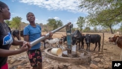 Warga desa sedang memompa air dari sumur bor di Mudzi, Zimbabwe, pada 2 Juli 2024, di tengah kekeringan berkepanjangan yang melanda Afrika bagian selatan akibat fenomena El Nino, menurut WFP. (Foto: AP)