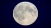 In this file photo, a flock of birds fly in front of the full moon over the city center in Tallinn, Estonia, Oct. 17, 2024. (AP Photo/Sergei Grits, File)