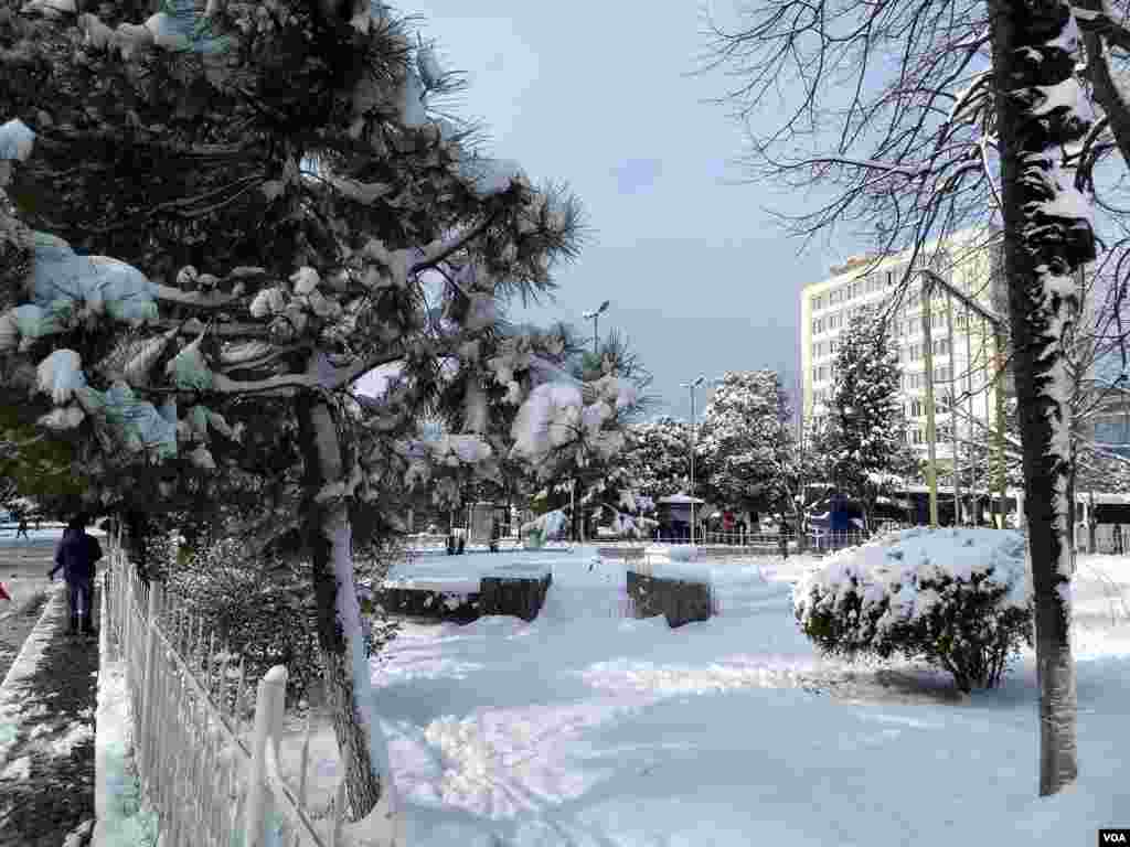 Shkodra snow 