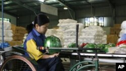 A disabled woman works at a helmet factory in Hanoi (File Photo)